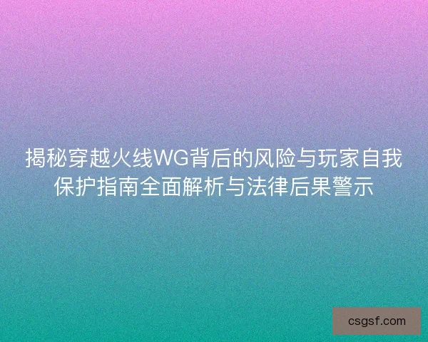 揭秘穿越火线WG背后的风险与玩家自我保护指南全面解析与法律后果警示