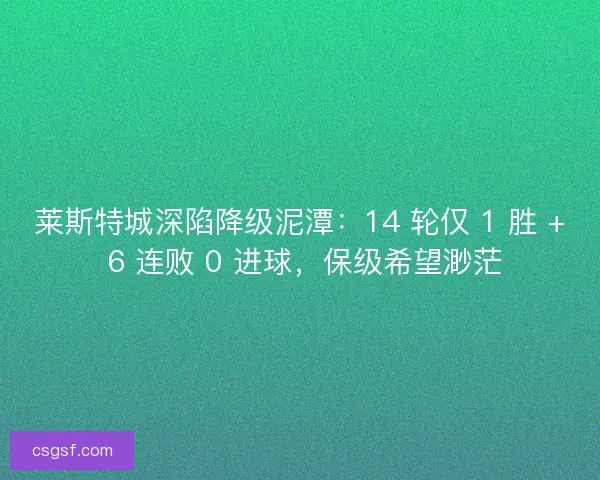 莱斯特城深陷降级泥潭：14 轮仅 1 胜 + 6 连败 0 进球，保级希望渺茫