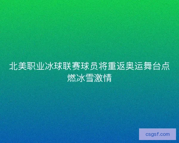 北美职业冰球联赛球员将重返奥运舞台点燃冰雪激情 北美职业冰球联赛球员将重返奥运舞台点燃冰雪激情
