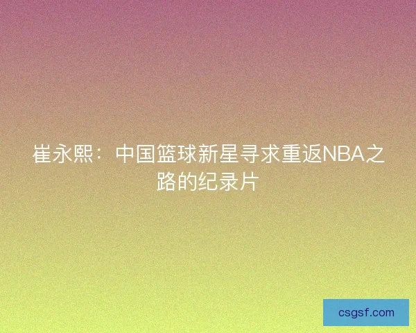 崔永熙:中国篮球新星寻求重返NBA之路的纪录片 崔永熙:中国篮球新星寻求重返NBA之路的纪录片